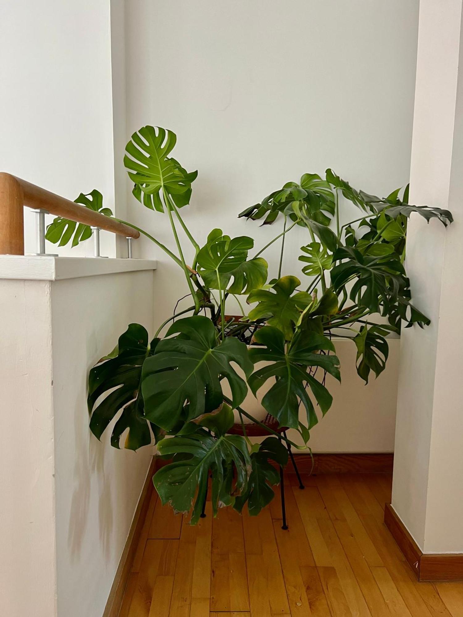 Huge Room For Recharge And Relaxation In Loft With Sauna In Central Londra Esterno foto